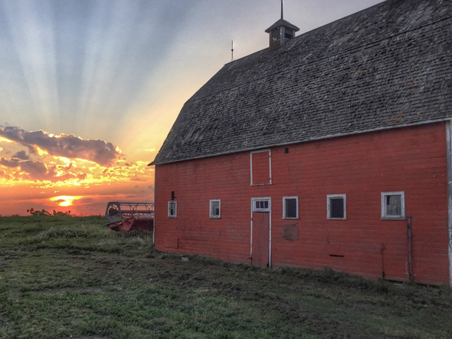 Tough times are weathered when we look for the beauty in what surrounds us. For John Kowalchuk, finding the 100-year old barn on his central Alberta farm bathed in sunlight is a sign of better days to come. (Photo courtesy of John Kowalchuk)